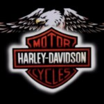 Mercatino Harley: Harley davidson